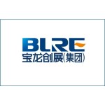 徐州寶瑞龍置業有限公司