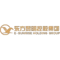 东方黎明控股集团有限公司的logo