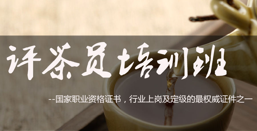 评茶员