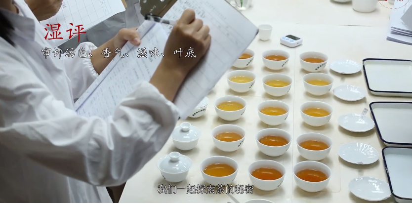 评茶员
