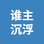 谁主沉浮风险管理顾问（徐州）有限公司