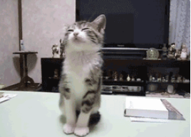 1633662495607740.png image.png